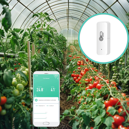 Zestaw 4x Czujników temperatury, wilgotności ZIGBEE TUYA / Smart Home